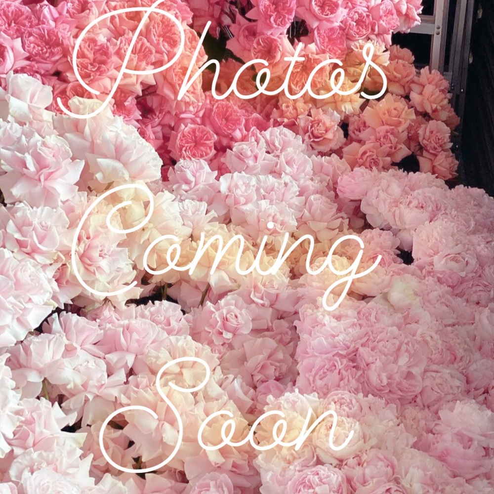 IRO high waste wool skirt